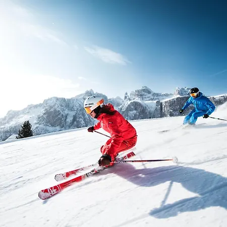 Hotel Dolomites Wellness Hotel Savoy