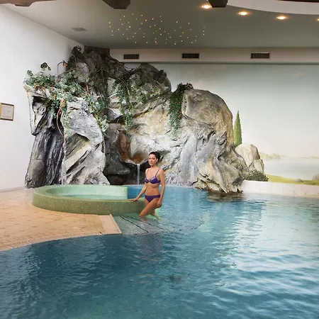 Dolomites Wellness Hotel Savoy 4*
